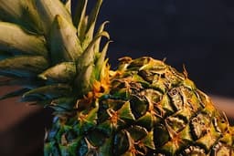 Piña