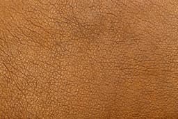 Leather