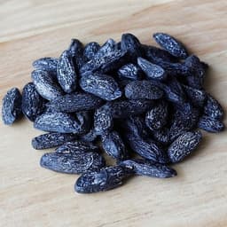 Tonka Bean