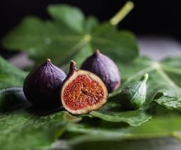 Fig Leaf