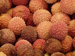 Lychee