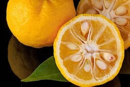 Żółta Mandarynka