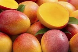 Mangue