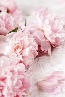 Peony