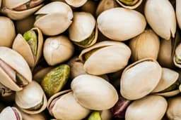 Pistacja