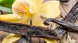 Vainilla de Madagascar