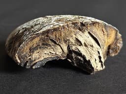 Ambergris