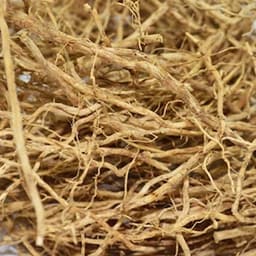 Java-Vetiver