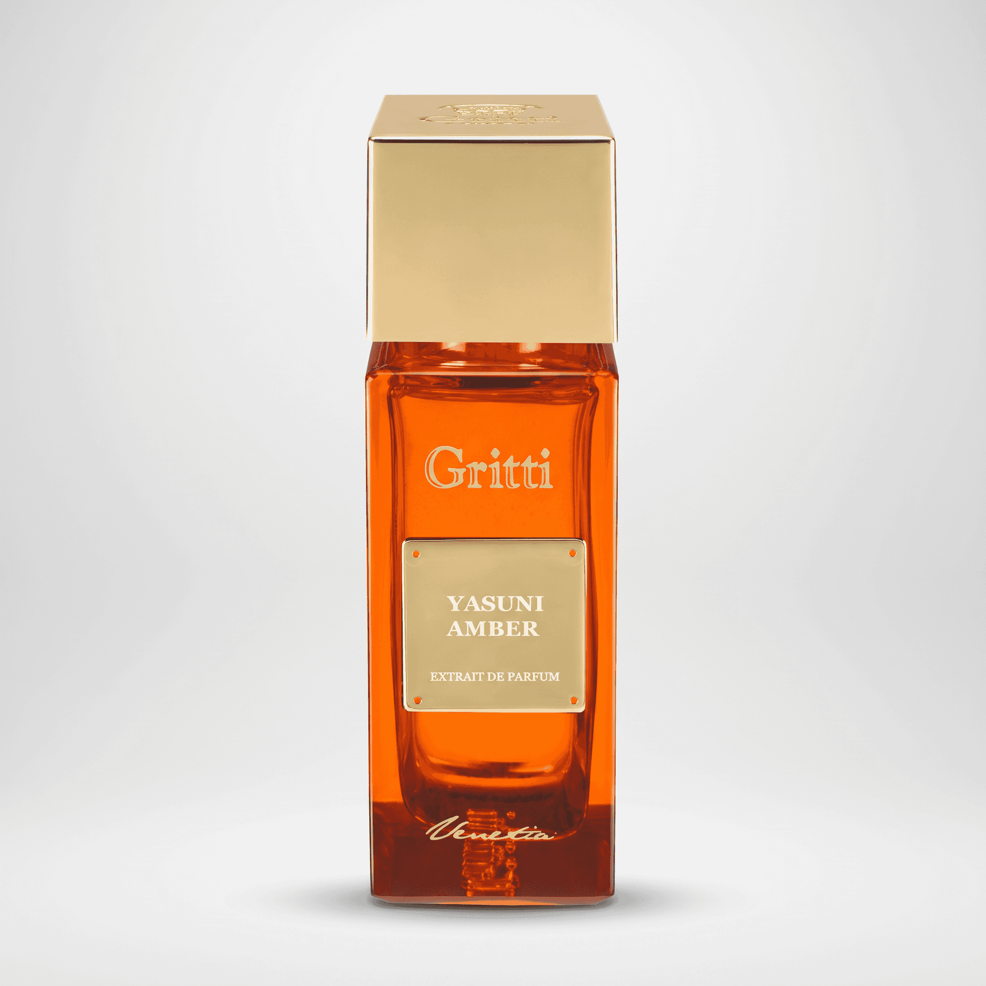 Yasuni Amber